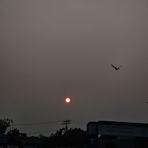 Meet your Posher, Kara